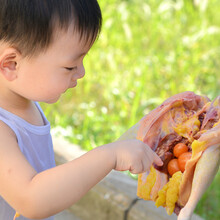 【农村土鸡 顺丰空运】恒沃 正宗2年老母鸡 孕妈月子滋补鸡汤现杀现发