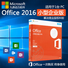 微软office2016小型企业/专业版office小型office2019企业版/office商用  增值税专用发票 2019专业版电子版（请留邮箱）