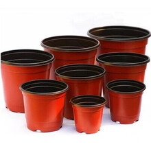 洁妍 特大号一次性盆栽双色塑料花盆 营养钵培育苗盆培育花盘 11厘米口径【100个】