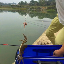 钓螃蟹钩抓螃蟹工具套圈钓大闸蟹赶海专用钩捉蟹青蟹渔具 螃蟹圈5个