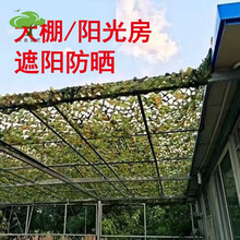 防航拍伪装网丛林迷彩网户外防晒遮阳网山体绿化遮盖网室内装饰网 4x5米