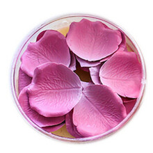 Laduree 拉杜丽贵族浮饰经典玫瑰花瓣腮红 04紫粉芯