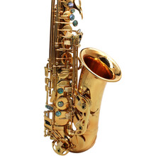 鹦鹉PARROT中音萨克斯降E调高音降B调萨克斯风初学成人演奏考级 电泳金鲍鱼扣