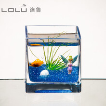 正方形玻璃鱼缸中小型金鱼缸客厅懒人桌面乌龟缸造景迷你水族箱 小号花仙子套餐