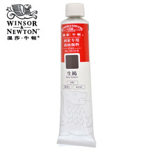 温莎牛顿（WINSOR&NEWTON） 温莎牛顿 画家专用油画颜料45ml 单色装 生褐