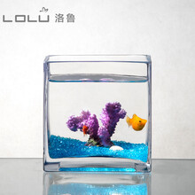 正方形玻璃鱼缸中小型金鱼缸客厅懒人桌面乌龟缸造景迷你水族箱 中号紫珊瑚套餐