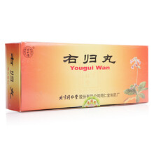 同仁堂 右归丸 9g*10丸/盒 RX DF 温补肾阳 填精止遗 1盒装