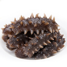 八鲜岛 大连长海县即食海参六年参 14-18头 500g  刺参家庭装