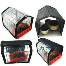 多肉植物遮阳棚网遮阳网遮雨棚防雨膜多肉防雨遮阳棚防雨棚 三针长120宽40高40