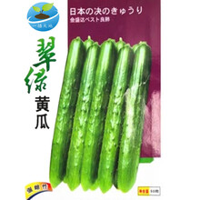 一播大地（正常发货）水果黄瓜种子黄瓜翠绿四季种植蔬菜种子 阳台种菜 盆栽 易种 荷兰水果黄瓜原包 翠绿黄瓜种子 原包装