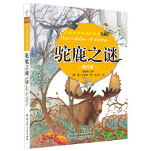 故事书 比安基经典森林故事图文版：驼鹿之谜 海润阳光