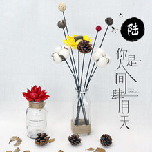 手工干花真花花瓶套餐 有逸干花 北欧小号陶瓷花瓶摆件云南干花水培花器客厅电视柜家居软装工艺品 【套装06】方型花瓶+1束花