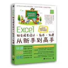 Excel财会报表设计、制作、处理从新手到高手