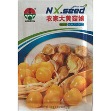 民汇园 黄菇娘种子 水果种子  野生红皮山菇娘种子 红菇娘 姑娘果种子 灯笼果种子 可盆栽 大黄菇娘5克