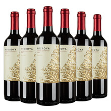 超市	
干露（Concha y Toro）费洛雅赤霞珠西拉干红葡萄酒 750ml*6 整箱装 智利进口红酒