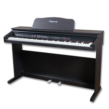 吟飞（Ringway） 吟飞电钢琴88键重锤力度键盘初学者智能数码钢琴专业成人家用电子钢琴 TG-8810( 琴凳大礼包 )