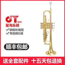 金音专业磷铜吹嘴管降B调 漆金小号 JYTR-2000乐队演奏乐器成人学生初学入门专业舞台演奏乐器