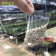 兰花专用肥 颗粒复合无机肥栽培兰草植料兰花需备营养肥 植物营养肥料基质 兰花专用肥300g