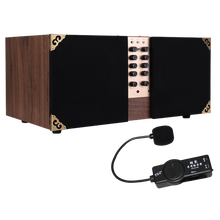 伊诺（ENO） 伊诺CL60古筝古琴60W蓝牙大功率音箱扩音器二胡琵琶民乐舞台音响 CL-60民乐蓝牙音箱+胡琴拾音器+6米连接线