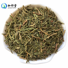 珈祁堂 中药材 侧柏叶 500克 侧柏