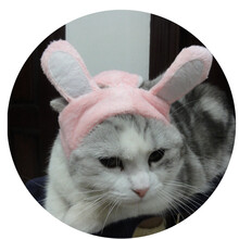 狗狗帽子宠物头套猫咪帽子头饰造型帽泰迪变身帽狗猫帽 兔子帽 XS-超小型