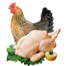 云依禾农庄 农村土鸡老母鸡新鲜2年笨鸡鸡肉净重2kg/只