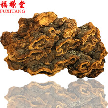 福曦堂 松针层孔菌  松木层孔菌 松白腐菌 中药材 松针层孔菌300克*1袋