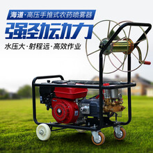 海道 打药机高压水管汽油机高压喷药机农用机动农药园林喷雾器果园打药机喷雾机手推消毒清洗机 HD-30T打药机+50米黄色水管