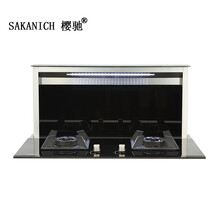 樱驰（SAKANICH） 隐形升降侧吸下排分体式集成灶抽油烟机燃气灶套餐侧吸环保灶S09 升降隐形油烟机+灶具 双电磁炉