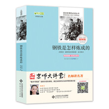 钢铁是怎样炼成的（京师大讲堂视频版）语文新课标必读丛书系列，部编