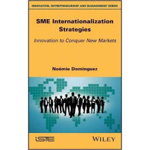 Sme Internationalization Strategies: Innovation 
