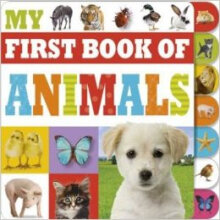 My First Book Of Animals我的第一本动物书 英文原版