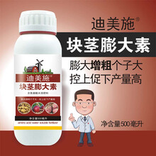 块根茎膨大素三七土豆红薯山药地黄姜蒜洋葱块茎膨大素 500毫升