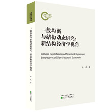 一般均衡与结构动态研究：新结构经济学视角