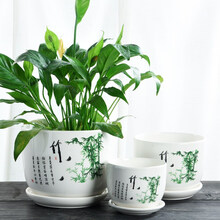 仟尚亿 三件套花盆陶瓷特大号带托盘室内客厅植物简约肉肉创意吊兰绿萝多肉家用绿植个性小中大花盆批发 TX绿竹三件套 大