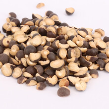 食味草 熟芡实炒芡实熟芡实熟茨实鸡头米200克可以磨粉