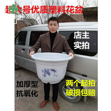 暖尚花 睡莲花卉盆栽白色塑料花盆无孔有孔花盆果树盆特大号大号圆形加厚 白色385型送托盘1个 特大