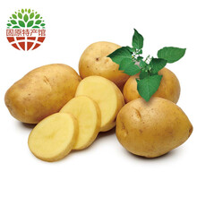 【固原馆】宁夏特产 农家自种 高山土豆 2.5kg 新鲜蔬菜马铃薯洋芋 火锅涮锅食材