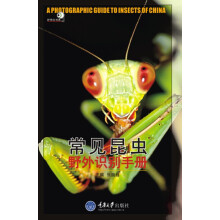 好奇心书系·野外识别手册：常见昆虫野外识别手册