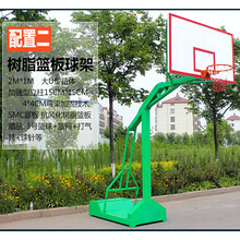 乐林源 可移动室内篮球架框户外篮球架健身学校比赛标准室外篮球架落地式 标配二