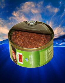 金鱼锦鲤大型鱼慈鲷饲料鱼食 傲深丰年虾348g   