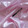 普通款浅粉