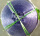 紫罗兰大盘宽3.5-4厘米7个盘50