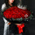 【相守一生】99朵红玫瑰 黑纱/ 尤加利