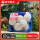 白蘑菇230g*3盒
