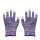 紫色条纹涂指12双