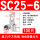SC25-6_(100只)