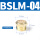 BSLM-04