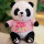熊猫 字母粉毛衣