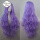 80卷浅紫+发网 紫色系 长发